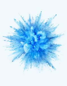 blue powder is flying in the air on a white background