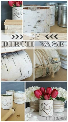 several pictures of different types of vases with flowers in them and the words diy birch vase