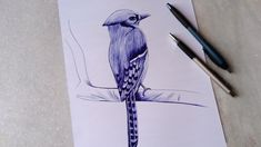 a drawing of a blue bird sitting on a branch