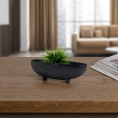 a small potted plant sitting on top of a wooden table next to a newspaper