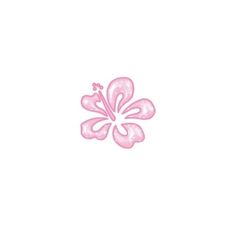 a pink flower on a white background