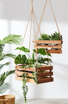 three wooden planters hanging from ropes with plants in them and some other potted plants