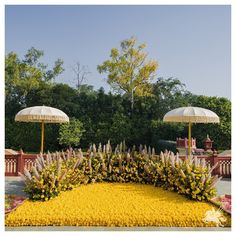 there are two umbrellas in the middle of a flower bed with flowers on it