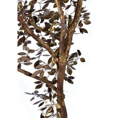 a metal tree with lots of leaves on it's branches, against a white background