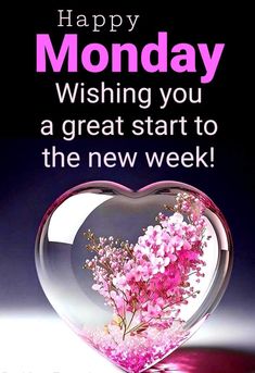 a heart shaped vase filled with pink flowers and the words happy monday wishing you a great start to the new week