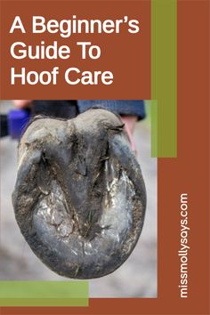 the cover of a beginner's guide to hoof care, with an image of