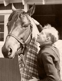 a young boy standing next to a horse with his face close to it's head