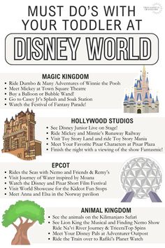 the top ten things to see at disney world info sheet for kids and families alike