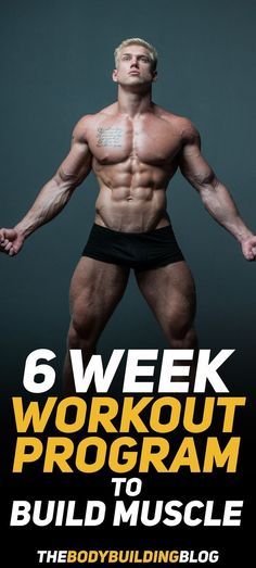 the six week workout program for build muscle