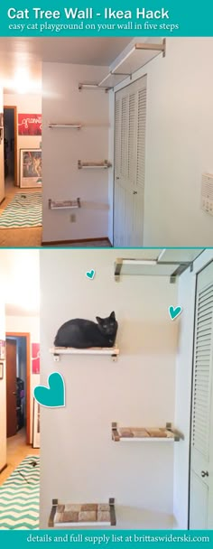 there are two pictures of a cat sleeping on the top and bottom shelves in this room