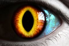 the iris of an eye with yellow and orange colors on it's iris lens