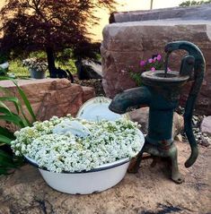 a potted plant sitting on top of a rock next to a faucet