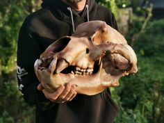 a man holding an animal skull in his hands