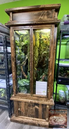 a display case filled with lots of green plants