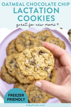 Best Lactation Cookies, Lactation Cookies Recipe, Postpartum Meals, Breastfeeding Snacks, Boost Milk Supply