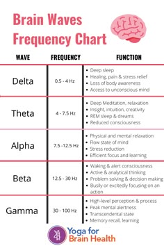 Brainwaves are electrical impulses in the brain which occur at various frequencies. Brainwaves are produced by synchronised electrical pulses from millions of neurons communicating with each other all at once! Learn about the various brain waves and their functions in our latest infographic. Brain Frequency, Neurotransmitters Brain Neurons, Brain Neuroscience, Brain Waves Illustration, Healing Brain, Brain Frequencies, Brain Waves Neuroscience, Brain Facts Psychology, Brain Health Tips