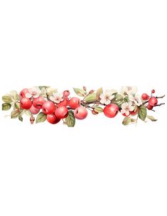 an apple tree branch with red apples and white flowers on it, painted in watercolor