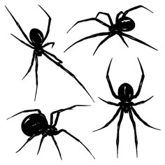 four black spider silhouettes on a gray background