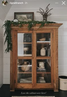 a wooden cabinet with glass doors and plants on top