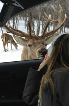 a woman taking a picture of a deer in the back seat of a car with another deer behind her