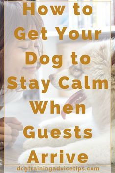 a woman petting a dog with the words how to get your dog to stay calm when guests arrive