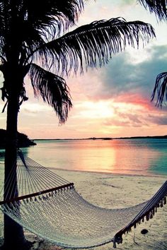 a hammock hanging from a palm tree on the beach at sunset or sunrise