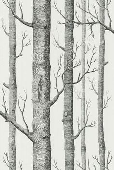 a drawing of trees with no leaves on them