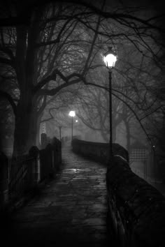 black and white photo of street light in the foggy night with trees on either side