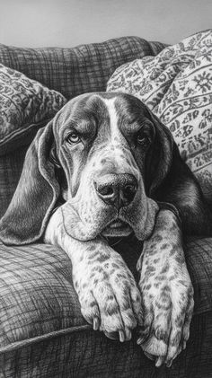 a black and white drawing of a dog laying on a couch