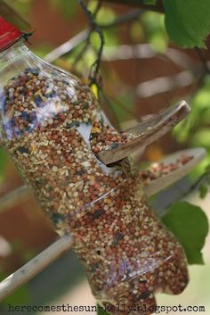 a bird feeder hanging from a tree filled with birdseed