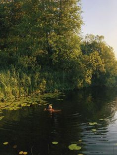 a person swimming in the middle of a lake surrounded by green trees and water lilies