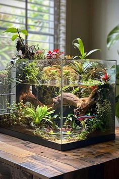 an aquarium filled with plants and rocks on top of a wooden table