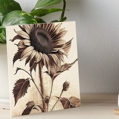 a painting of a sunflower on a white background art board print