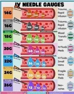 Phlebotomy Essentials, Iv Needle, Paramedic Study, Nurse Bae, Graduation Nursing, Emt Study, Medical Terminology Study