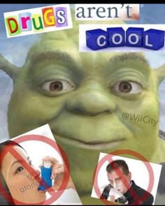 Shrek, Group Chat, Memes, Funny, Instagram