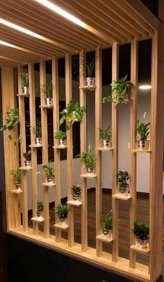 a wooden shelf filled with lots of potted plants