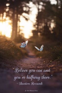 two butterflies flying in the air over a dirt road with trees and sun behind it