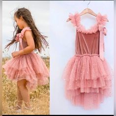 Princess Fairy Tulle Pink Dress For Wedding Party And Special Occasions Pink Dress For Wedding, Tulle Pink Dress, Girl Silk Dress, Tulle Pink, Dress For Wedding Party, Tulle Skirt Dress, Pumpkin Dress, Princess Fairy, Cream Lace Dress