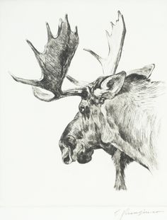 a drawing of a moose with large antlers