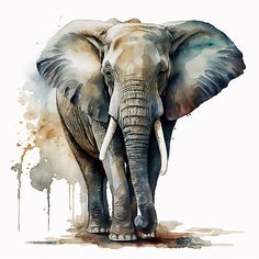 an elephant standing in front of a white background with paint splattered on it