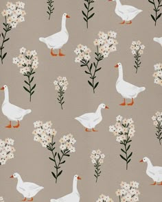 white ducks and flowers on a gray background