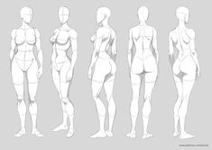 the back view of a woman's body in various positions