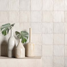 three vases with plants in them sitting on a shelf next to a tiled wall