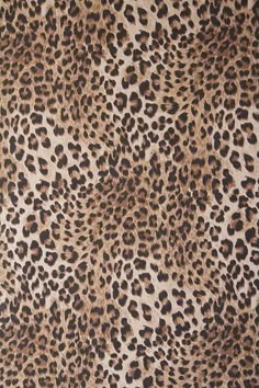 Rockett St George Leopard Love Leopard Print Wallpaper | Rockett St George Leopard Print Background Wallpaper, Glamour Wallpaper, Hair Salon Interior, Jaguar Print, Quirky Home