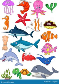 an image of sea animals on white background