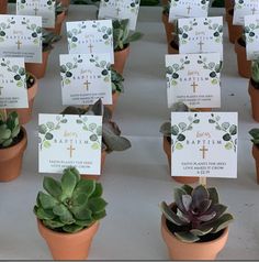 there are many potted plants with small cards in the same size as each other