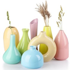 there are many different vases in this group