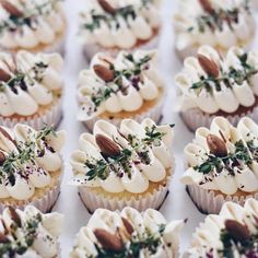 many cupcakes with white frosting and toppings