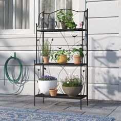 three tiered plant stand with potted plants on the side of a house next to a blue rug