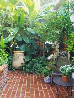 an outdoor patio with potted plants and tables